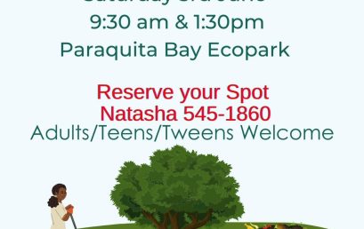 Composting Workshops with Cornell Institute Experts FREE Paraquita Bay Ecopark