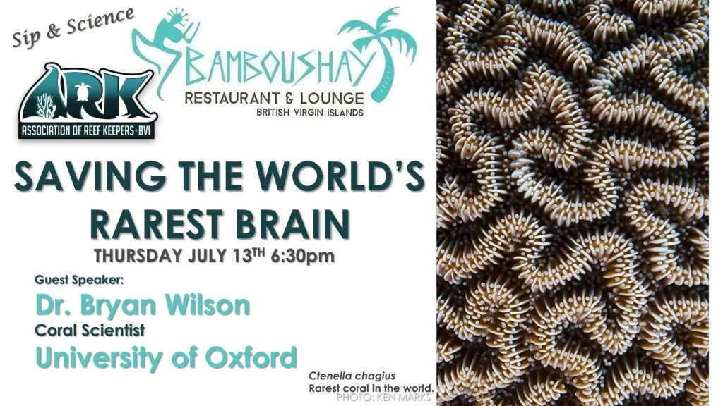 Saving The World’s Rarest Brain by Coral Scientist Dr. Bryan Wilson at Bamboushay