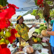 Cultural Thursdays in Carrot Bay – Experience Vibrant Traditions