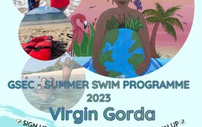 Summer Swim Programme – Green Sprouts Eco Club – Virgin Gorda