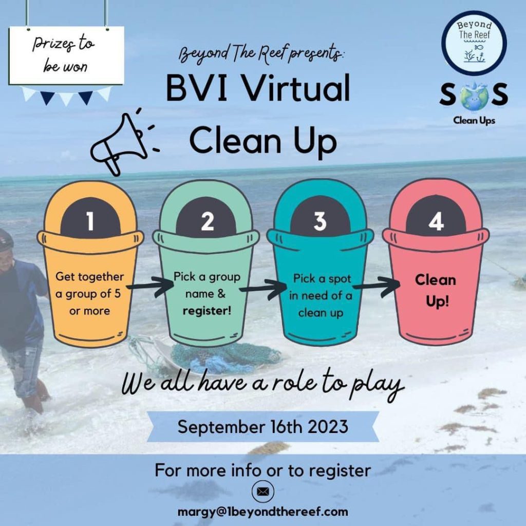 Beyond The Reef BVI Virtual Clean Up