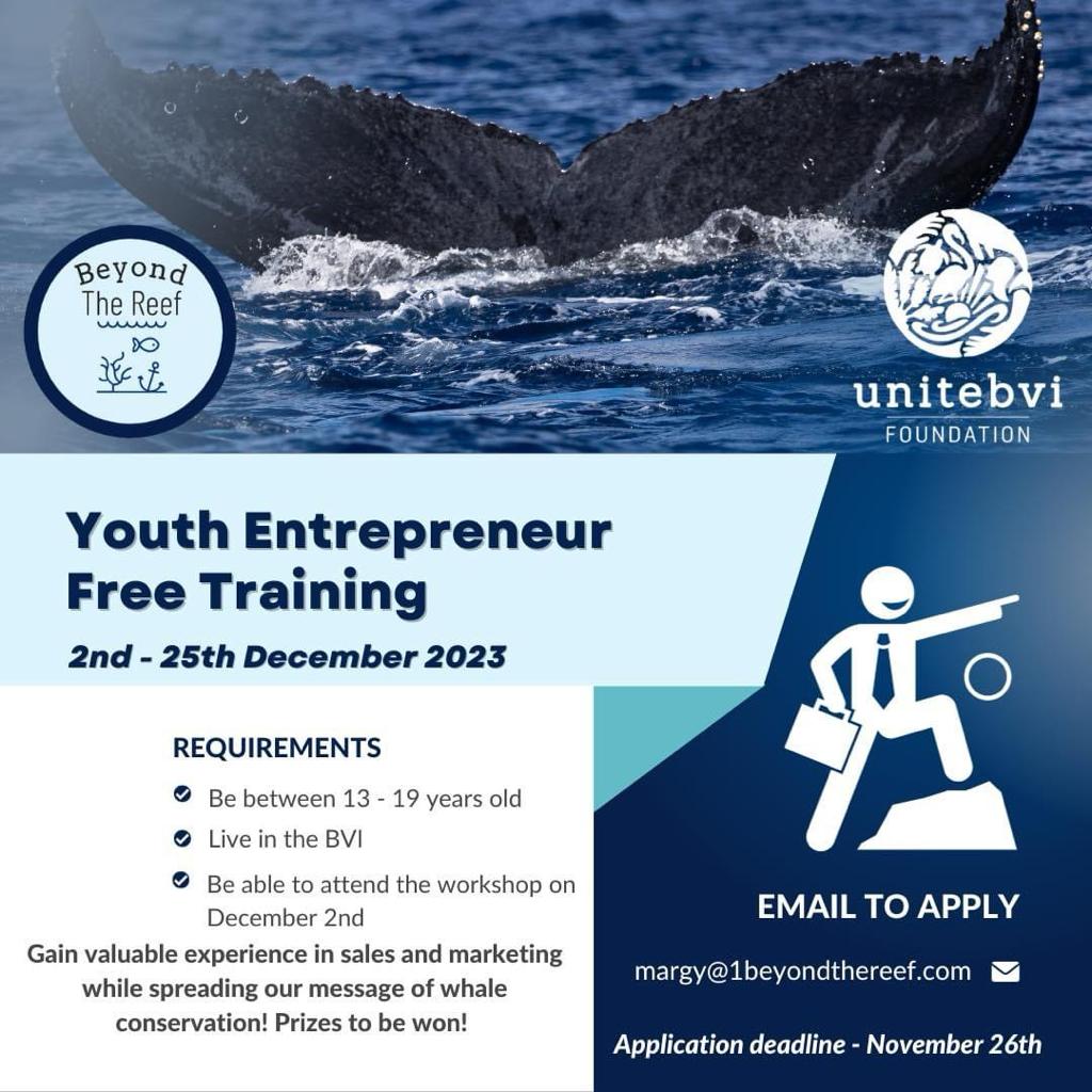 Youth Entrepreneur Free Training 2nd – 25th December 2023