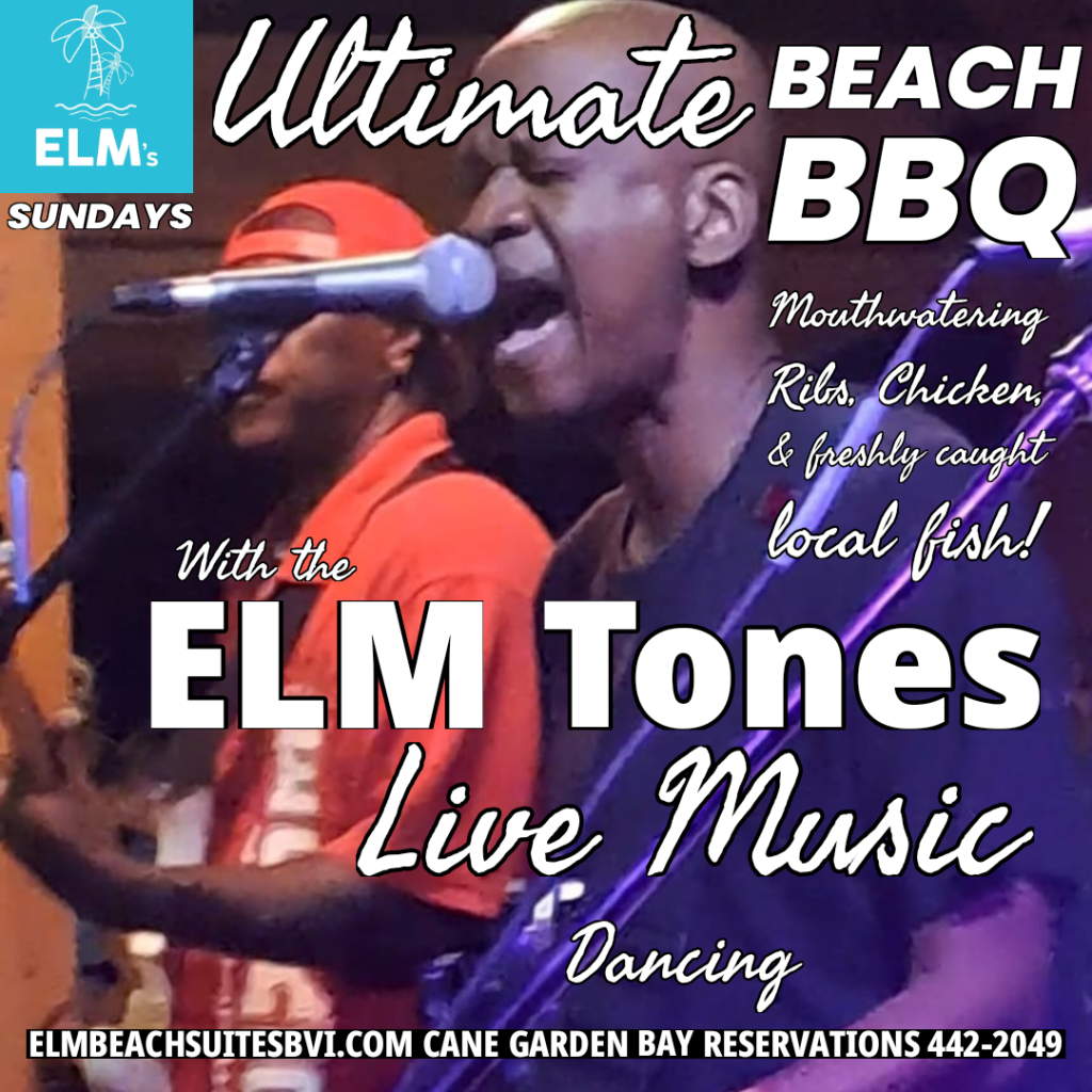 Beach BBQ with the The ELM Tones
